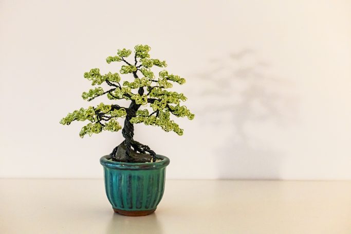 Drahtbonsai auf Felsen